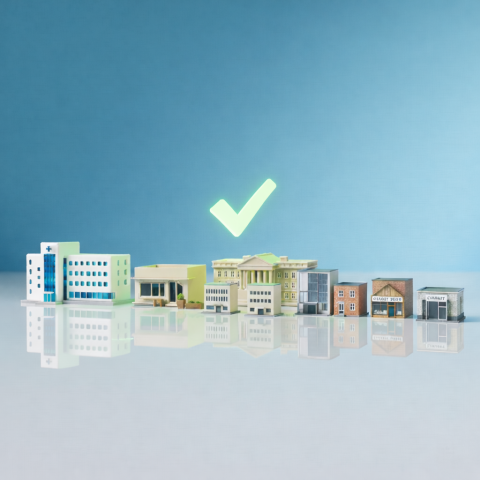 VCSE Status of Organisations