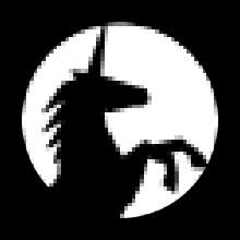 SCENERIC LIMITED