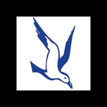 J. MARR (COMMODITIES) LIMITED