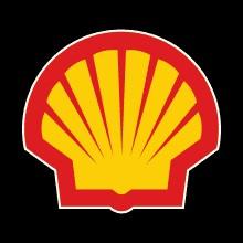 DIELECTRIC FLUIDS HOLDINGS LTD