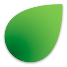 THE SANDWICH FACTORY HOLDINGS LIMITED