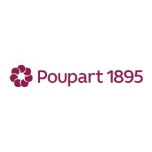 POUPART LIMITED