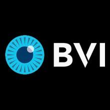 BEAVER-VISITEC INTERNATIONAL LIMITED