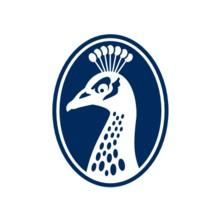 PINNACLE UNIVERSAL LIMITED