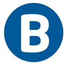 BANNER GROUP LIMITED