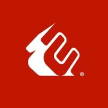 CODEMASTERS DEVELOPMENT COMPANY LIMITED