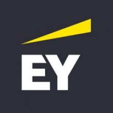 ERNST & YOUNG INTERNATIONAL LIMITED