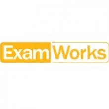 EXAMWORKS UK LTD
