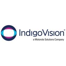 INDIGOVISION GROUP LIMITED