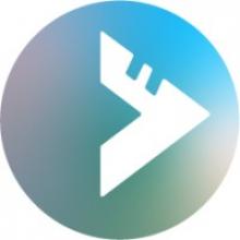 LOGICEARTH LEARNING SERVICES LTD