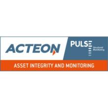 PULSE STRUCTURAL MONITORING LIMITED