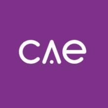 CAE TECHNOLOGY SERVICES LIMITED