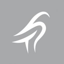 TILNEY FUND MANAGERS LIMITED