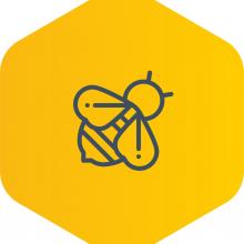 BUMBLEBEE LETTINGS LIMITED