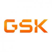GLAXOSMITHKLINE INTELLECTUAL PROPERTY DEVELOPMENT LIMITED