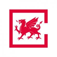 CARDIFF ARENA VENTURES LIMITED