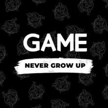 GAME DIGITAL LIMITED