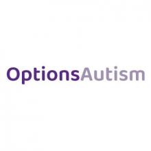 BOSTON HOLDCO A LIMITED