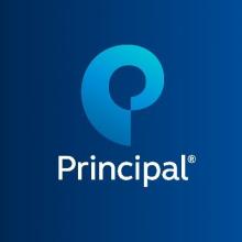 PRINCIPLE GROUP SERVICES LTD